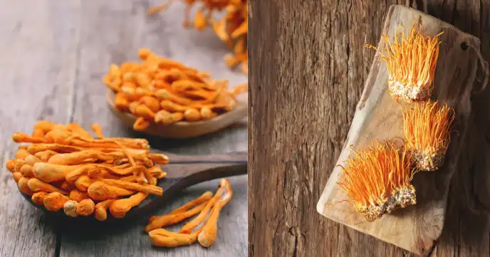 Boost Your Stamina with Cordyceps Mushroom Powder